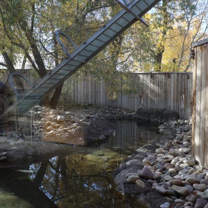Otter Exhibit – Gibbs Gage Architects 7